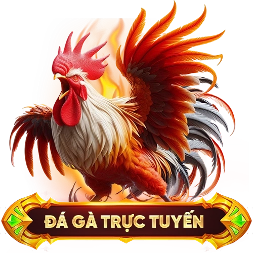 đá gà trực tuyến NOHU90